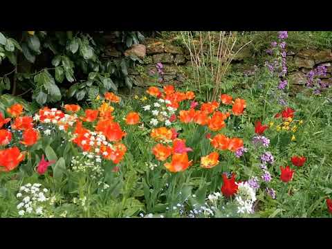 Layered Planting Lecture: April - The Barn Garden