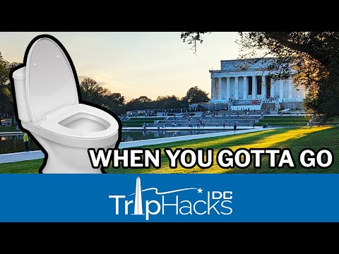 Where to Find Public Restrooms When You Visit Washington DC 🚻🚽