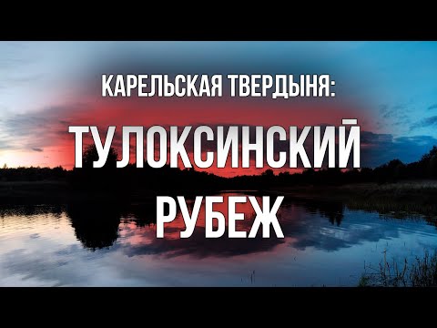 Железная память Тулоксы. Что скрывают поля и леса по речным берегам? / Раскопки WWII