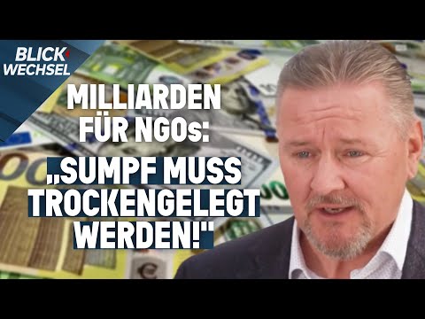 EU-Milliarden für NGOs: Wo fließt das Geld hin? | BLICKWECHSEL. Das Nachrichtenmagazin