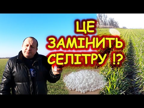 🤔Чим ЗАМІНИТИ яка ВРОЖАЙНІСТЬ без #СЕЛІТРИ #КАРБАМІДУ #КАСУ без добрива буде діло чи ні⁉️