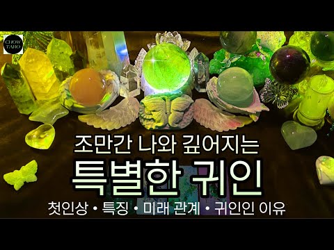 [타로]🦋나와 매우 깊은 관계가 될 귀인, 그 이유와 미래까지🔮