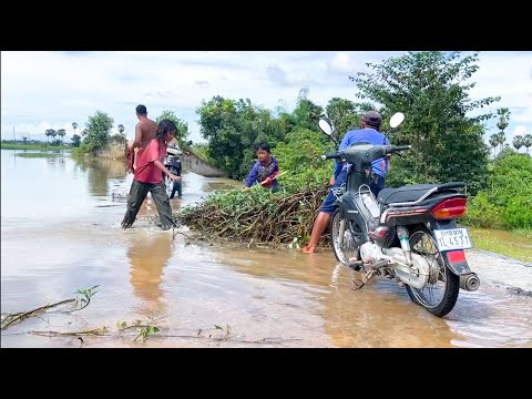 Action Remove Floating Plants Grow On Massive Dam Drain Water