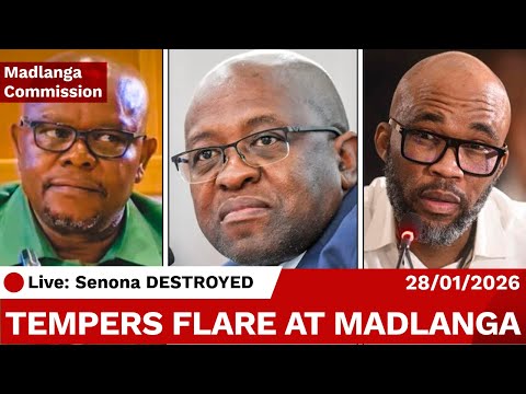 HEATED: SENONA TORN APART at Madlanga Commission Over Cat Matlala Today
