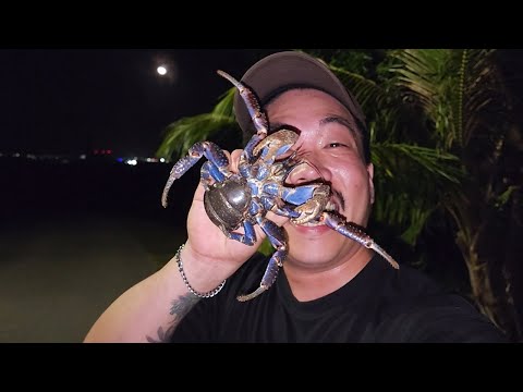 코코넛크랩을 잡으려고 해외로 떠났습니다