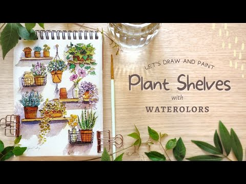 Plant Shelves: Watercolor Tutorial drawing to painting
