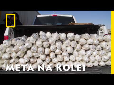 Wagon towarowy miał być pomysłową SKRYTKĄ PRZEMYTNIKÓW | Złapać przemytnika