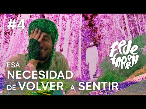 Mushrooms in San José del Pacifico - 15,000 km of fog, gastronomy, art, and mushrooms