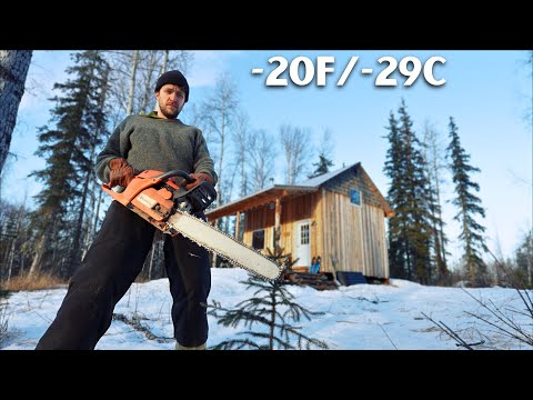 Making Next Years Firewood From Windstorm Damage at -20F || Cabin Life Alaska