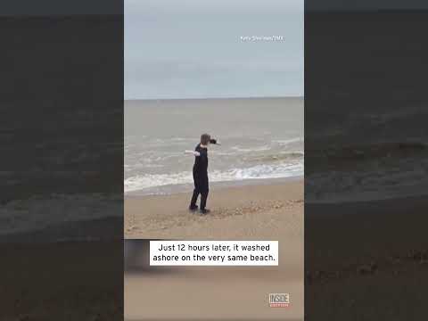 ‘Message in a Bottle’ Contains Woman’s Ashes #shorts