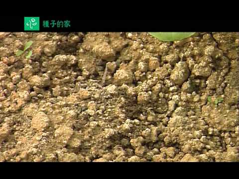土壤:所有農業的基礎