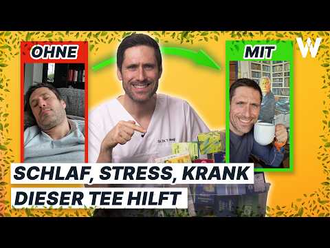 The 5 best teas for health & well-being – a doctor explains