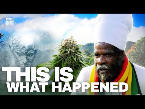 Master Grower Explains Why Weed Quality Dropped in Jamaica