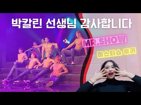 MR.SHOW 미스터쇼 후기 v-log💪 / 광대승천 / 확실한 행복 #미스터쇼