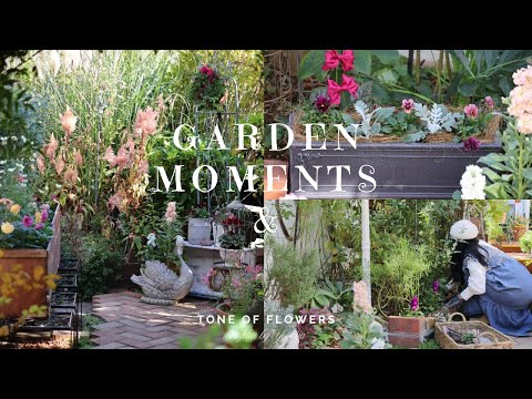 Festive Winter Planters for Your Christmas Decor 🦢