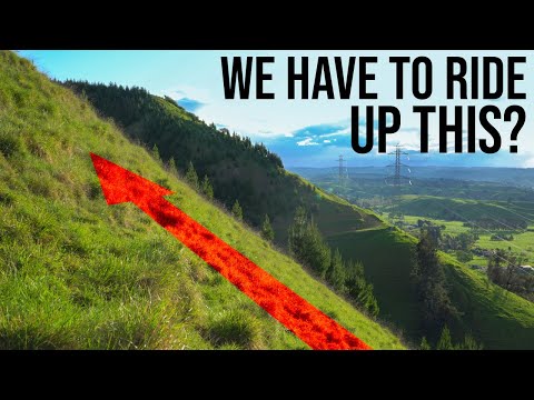 King of the Hill is BACK