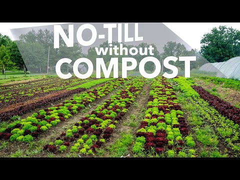 I Stopped Buying Compost for Two Years