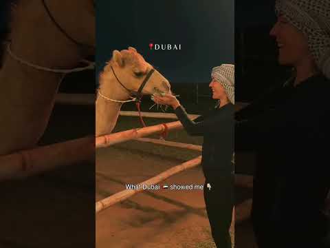 Dubai Shows Your Excuses