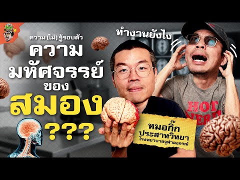 สมองทำงานยังไง ทำไมถึงน่ามหัศจรรย์? | ความ(ไม่)รู้รอบตัว