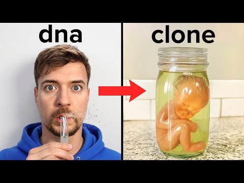 How I Secretly Cloned MrBeast (using science)