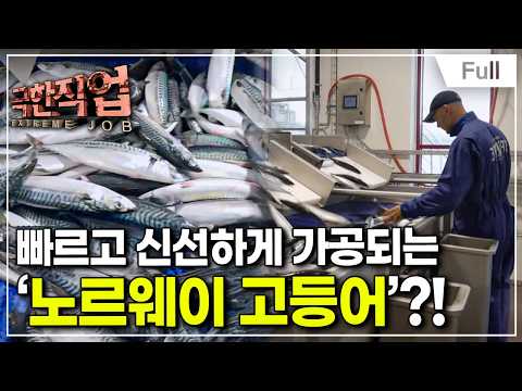 [Full] Extreme Job - Norwegian Mackerel and Salmon