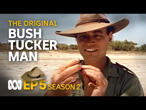 Camping in comfort on the Mary River 🤠🗺️ | Bush Tucker Man | S2 EP5 | ABC Australia