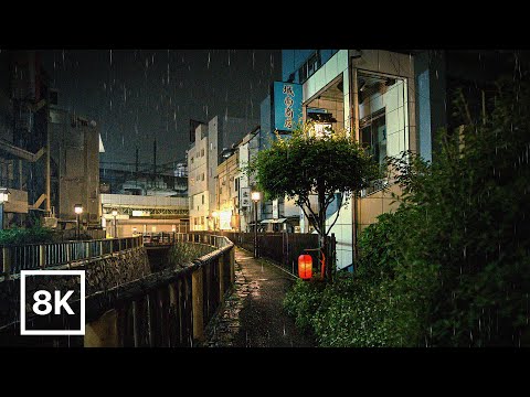 Tokyo Midnight Rain Walk / 8K 60fps HDR / Relaxing Ambient Sound