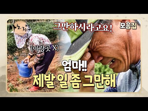 허리 아파서 주저앉고, 협심증으로 못 깨어나시기까지 했던 어머니가 잘못될까 봐 걱정되는 아들 | 사노라면 모음집