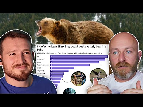 Could You Beat These Animals in a Fight?!