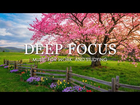 Deep Focus Music for Studying – 3 Hours of Ambient Focus Music for Productivity