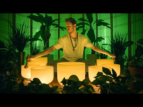 Earth Chakra Sound Bath for PLANT GROWTH 🌱   Music for House Plants | Singing Bowls