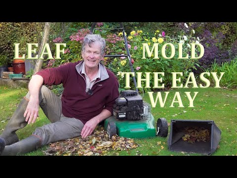 How to make Leaf Mold (Mould) the Easy Way