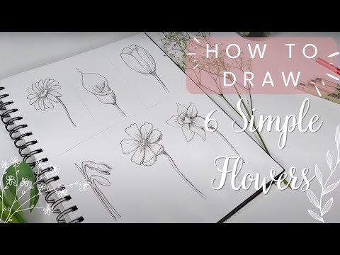 6 Simple but Realistic Flowers You Can Draw Right Now (Beginner Friendly Guide)