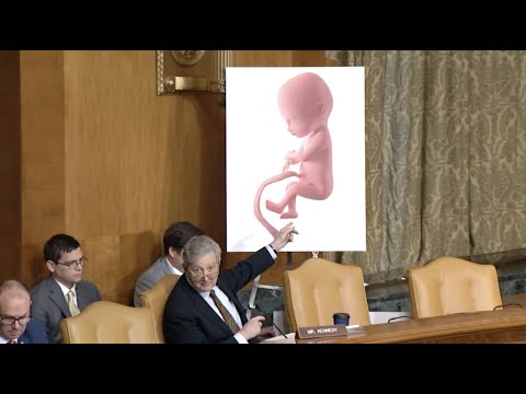 Democrats cut off Kennedy in Budget for highlighting horrors of abortion