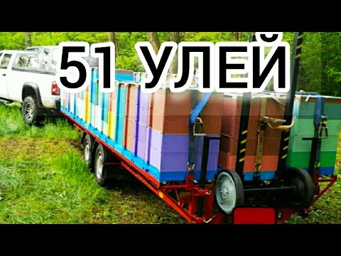 УВИДЕЛ И ЗАГОРЕЛСЯ ТАКОЙ ПЛАТФОРМОЙ. Бджоловiз.BEES TRANSPORTATION PLATFORM.