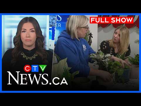 Arrest in Kitchener shooting and 2026 plant trends | CTV News Kitchener at Five for Feb. 24, 2026