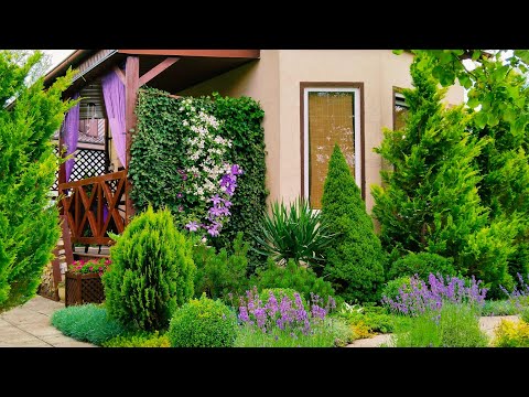 Цветущий двор 2025 💜 Красота, которую создаём сами + уютный завтрак #garden #дом #завтрак