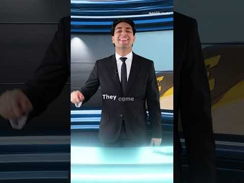 Test Your Sneaker Knowledge: Find the Fake Collab