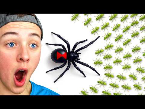 1,000 ANTS vs 1 BLACK WIDOW, Who Would Win?
