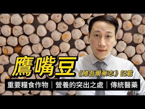 鷹嘴豆，營養價值的突出之處，維吾爾醫學中的常用藥材，糖尿病或痛風如何食用？食用注意事項的解析
