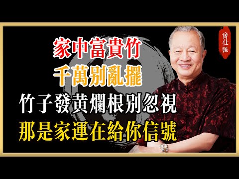 曾仕強：家中富貴竹千萬別亂擺！竹子發黃、爛根別忽視！那是家運在給你信號#曾仕強#國學經典#國學智慧#曾講國學