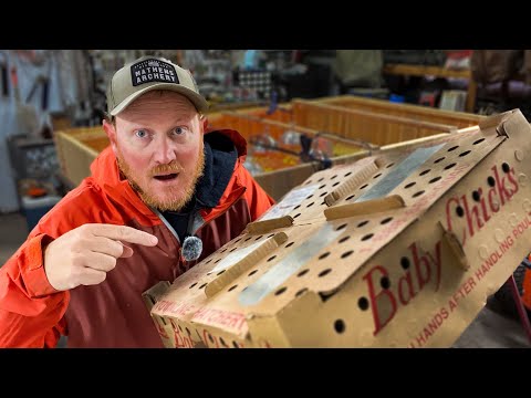 Raising Meat Chickens For Beginners | Arrival Day!