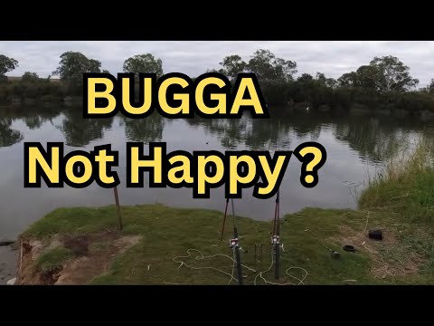 This Peaceful Murray River Camp Is 100% FREE And a special visitor cruises by.