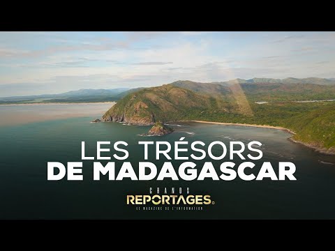 Les trésors de Madagascar