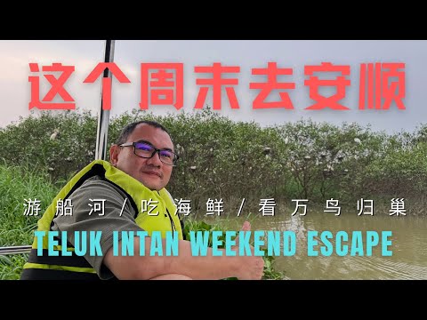 Teluk Intan 安顺，你真的是一个被严重低估的旅游城镇！肥美河鱼螃蟹大头虾，游船河看万鸟归巢奇景，品尝地方小吃和古早味，游览百年历史文化遗迹，太多太值得让全世界都知道的马来西亚霹雳州南部城镇！