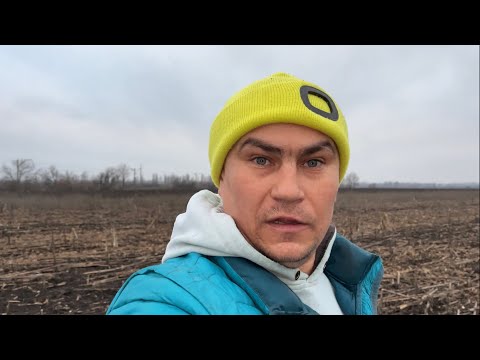 I went out into the field - how much did I manage to collect?