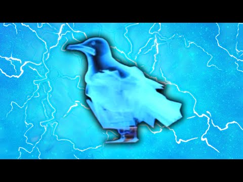 MEMBERS ONLY: NAMING EVERY BIRD LOCATION