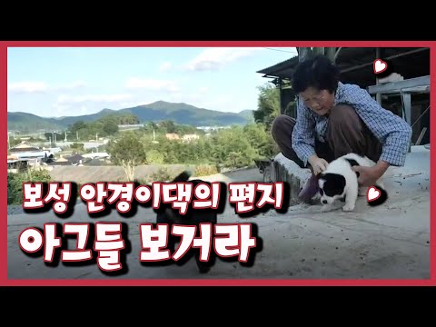 [남도지오그래피] 아그들 보거라, 보성 안경이댁의 편지｜KBS 211020 방송