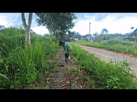 Restoring the Forgotten Path: A Post-Apocalyptic Cleanup