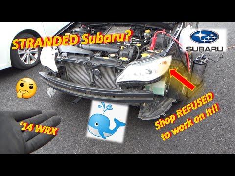 Shop REFUSED to Work on this Subaru WRX?! (No-Crank, No-Comm with ECM?)